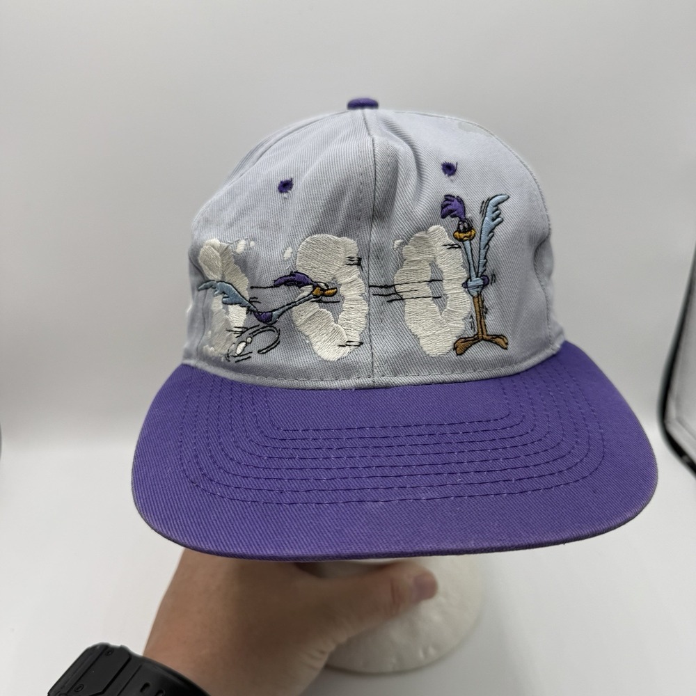 Vintage 1994 Looney Tunes Wile E Coyote Road Runner Snapback Hat Purple Grey G44